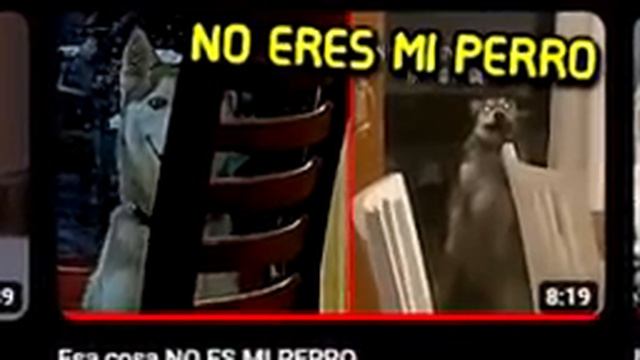 Esa cosa NO ES MI GATO смотреть онлайн