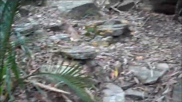 Survival Training Overnighter P1.wmv смотреть онлайн
