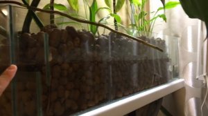 фитофильтр для аквариума 170л, часть 2