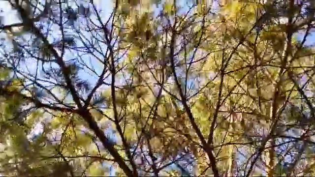 •VLOG|ПОЕХАЛИ НА ДАЧУ|Artema Tv• смотреть онлайн