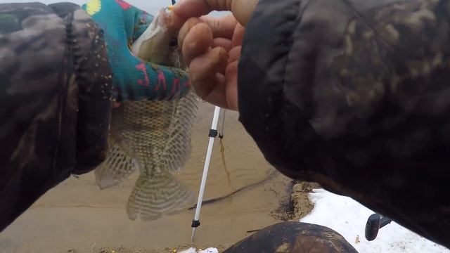 Атомный пенопласт зимой. Ловля теляпии в Удомле смотреть онлайн