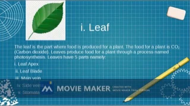 Formation, Parts and Uses of plants | Formation | Parts | Uses | Ram Praharsh смотреть онлайн