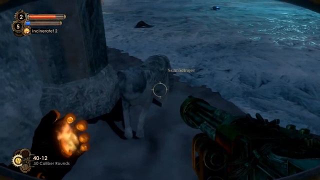 Bioshock 2: Easter Egg - Schrödinger's cat смотреть онлайн