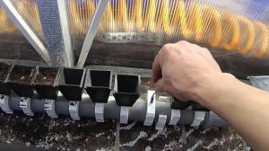 Фитильный полив для рассады удачный опыт