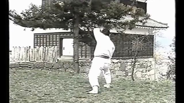 Bassai Dai (Kata & Bunkai) смотреть онлайн