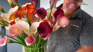 Посадка калл в горшки и на клумбу. Все тонкости и нюансы.