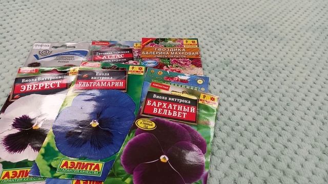 Какие семена сажать на рассаду в феврале ?цветы? смотреть онлайн