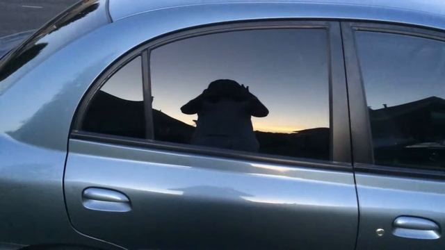 2002 Kia Rio 35\15 Percent Tint смотреть онлайн