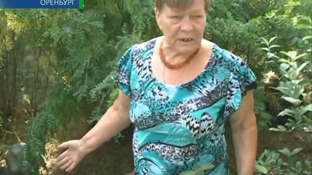 07 07 2014 Наше время смотреть онлайн
