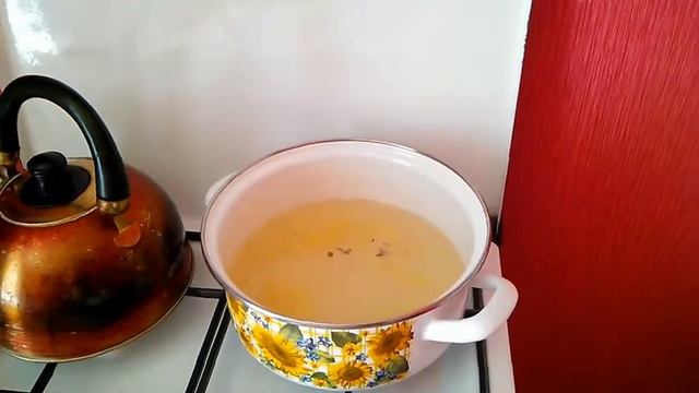 Наука о Животных и их Поведение