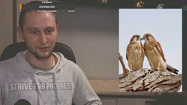 Популярные и не очень мифы о животных | КнигаЖивотный стри(ё)м смотреть онлайн