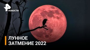«Кровавая Луна»: красивые кадры с редким явлением / РЕН Новости