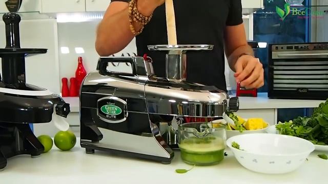Соковыжималка Tribest Green Star Elite GSE-5050 хром. Зеленый сок. Ограниченная серия! смотреть онлайн