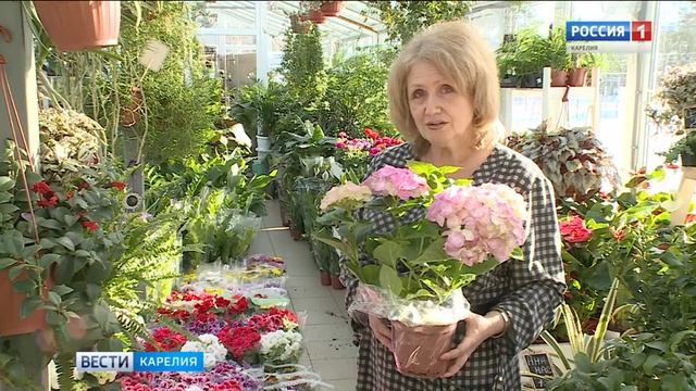 Садовый центр радует разнообразием цветов смотреть онлайн