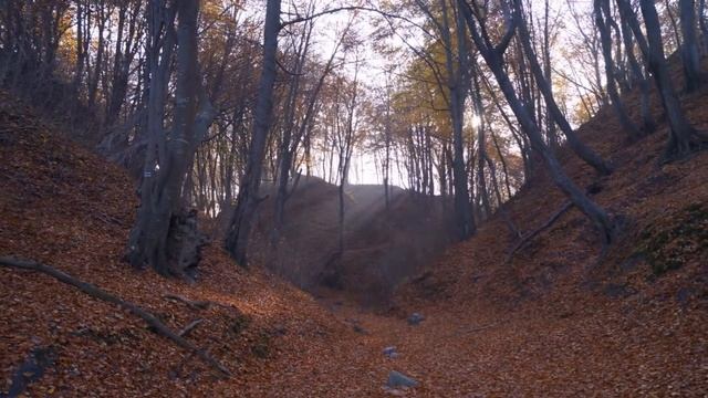 Польща , осінь, Владиславово. 2017 смотреть онлайн
