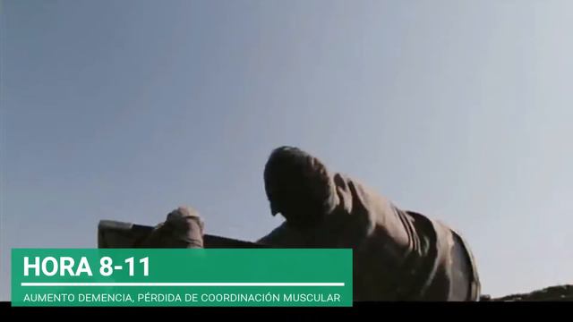El Virus Solanum (Virus Zombie) | Cómo Sobrevivir en un Apocalipsis Zombie смотреть онлайн