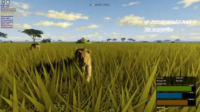 Wild Savannah| Lioness Survival | Roblox | The Harsh Plains of the Savannah | смотреть онлайн