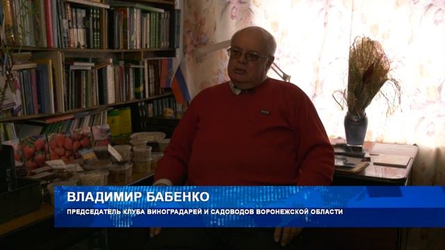 Пора на огород! смотреть онлайн