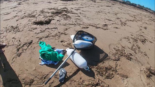 How to catch Live Bait 3 WAYS !!!!!! (How to catch Live Bait) смотреть онлайн