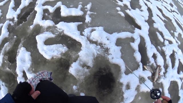 ЗА 20 МИНУТ НАЛОВИЛ РЫБЫ. ЧЕРТИК ВСЕГДА ВЫРУЧАЕТ.🔥 смотреть онлайн