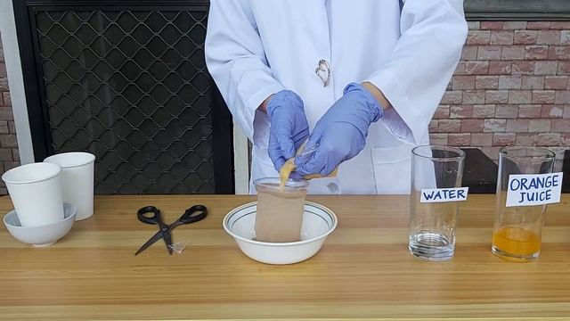 Digestive System Demo- Do it at Home Experiment смотреть онлайн