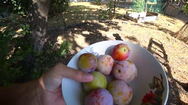 ВЫБИРАЕМ КУХНЮ .ЕЗДИЛИ НА РЫНОК.ИЗ ГОРОДА В ДЕРЕВНЮ 419 серия смотреть онлайн