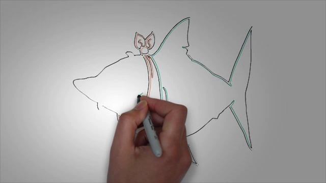 Картинки акул. КАК поэтапно НАРИСОВАТЬ АКУЛУ смотреть онлайн