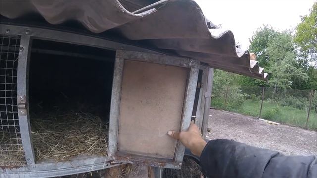 Деревенские будни. Жир в молоке на траве. Купили бройлеров. смотреть онлайн