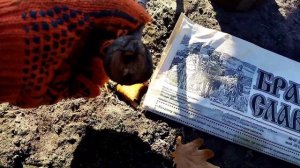 Попытка восстановления сломанного саженца крупноплодной груши подвой на айве октябрь месяц 2021 год