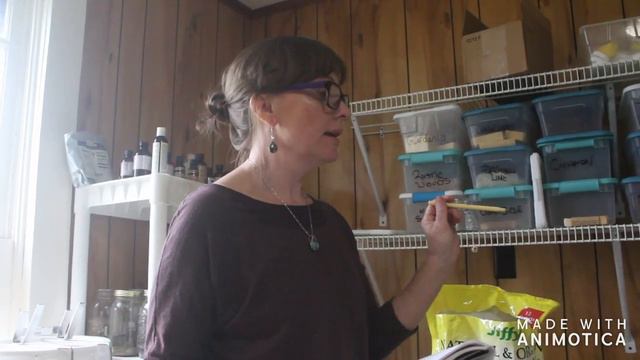 How To Start Vegetable And Flower Seeds Indoors For Planting In The Garden