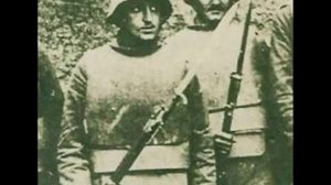 Дельфин - Война