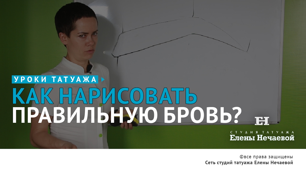 Эскиз бровей: рисуем брови правильно. Теория. смотреть онлайн