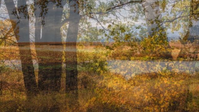 ОСЕННИЕ АККОРДЫ... (Фото - Геннадия Лепёшкина (Рязань), музыка - Георга Делерю) смотреть онлайн