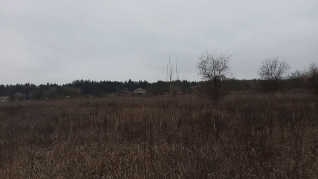 10 февраля ЕФРЕМОВ ДЕНЬ . КУДЕСЫ ДОМОВОГО . народные приметы и традиции смотреть онлайн