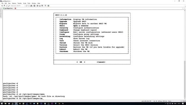 How to permanently remove images from GNS3 VM смотреть онлайн