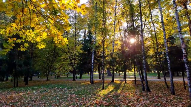 Золото парка. Курск. смотреть онлайн