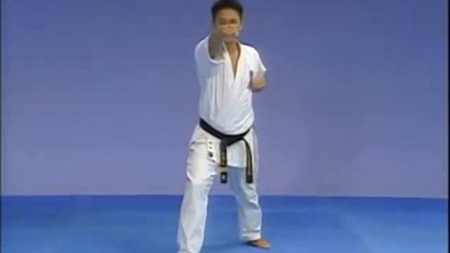Каратэ Киокушинкай: Ката - Тайкиоку Соно Сан | Kyokushin Karate: Kata - Taikyoku Sono San смотреть онлайн