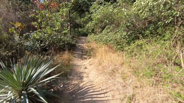 @ Вопиющая безнаказанность бессовестных шабашников на Историческом бульваре в Севастополе.