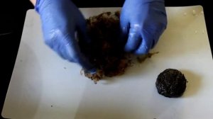 Вабикуса в аквариуме своими руками. Гигрофила Пиннатифида. Нимфея Сантарем.