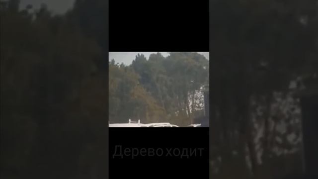 Змея укусила за лицо человека смотреть онлайн