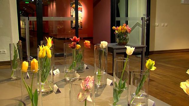 В Арт-центре Марка Ротко прошла выставка тюльпанов смотреть онлайн