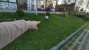 Экопарковки Краснодара: как можно загубить отличную идею