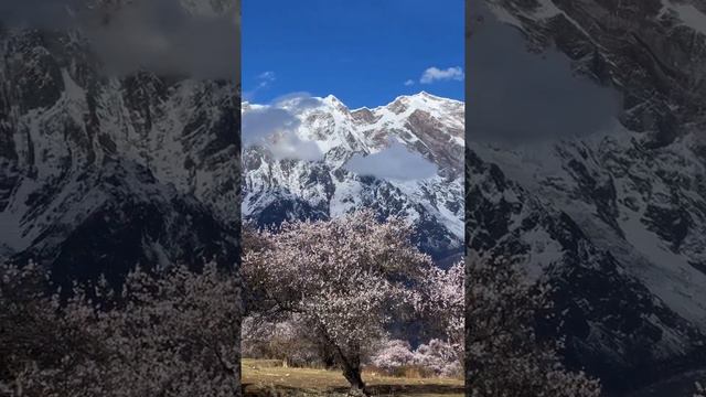 Nanga Bawa Peak,Tibet, China смотреть онлайн