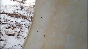 Отстрел патронов Рекорд и Азот