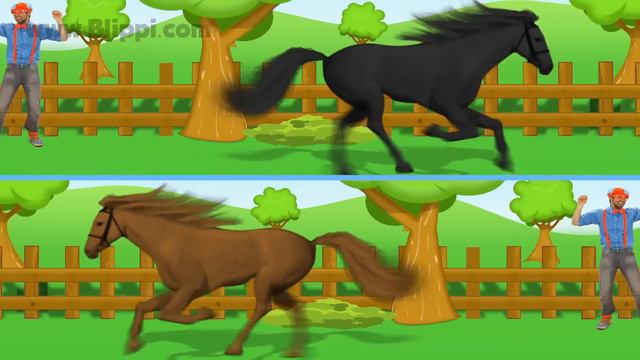 Horses For Kids - Horse Song Nursery Rhymes By Blippi
