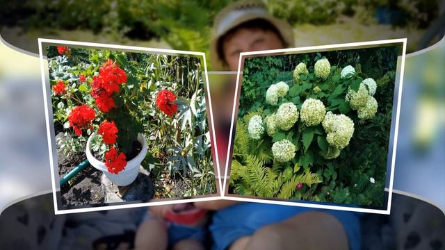 Лето на любимой даче смотреть онлайн
