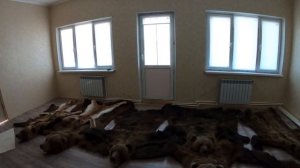 Мастер по выделке медвежьих  шкур и меха.