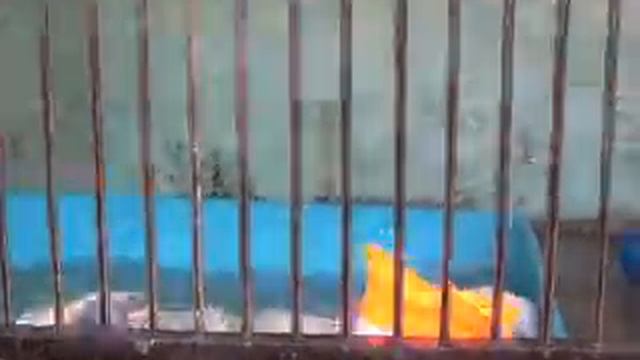 Белый Медведь в зоопарке СПБ смотреть онлайн