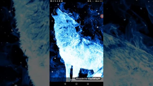 Синие живые волки под музыку холодок!!! смотреть онлайн