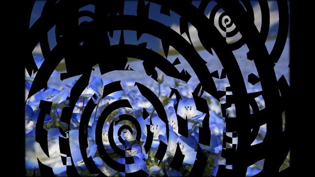 Вероника цветы смотреть онлайн